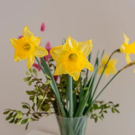 Apartamento Casa Sole